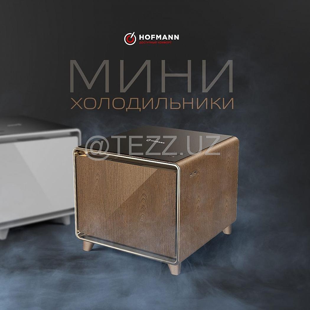 Холодильник Hofmann MR-30WD/HF
