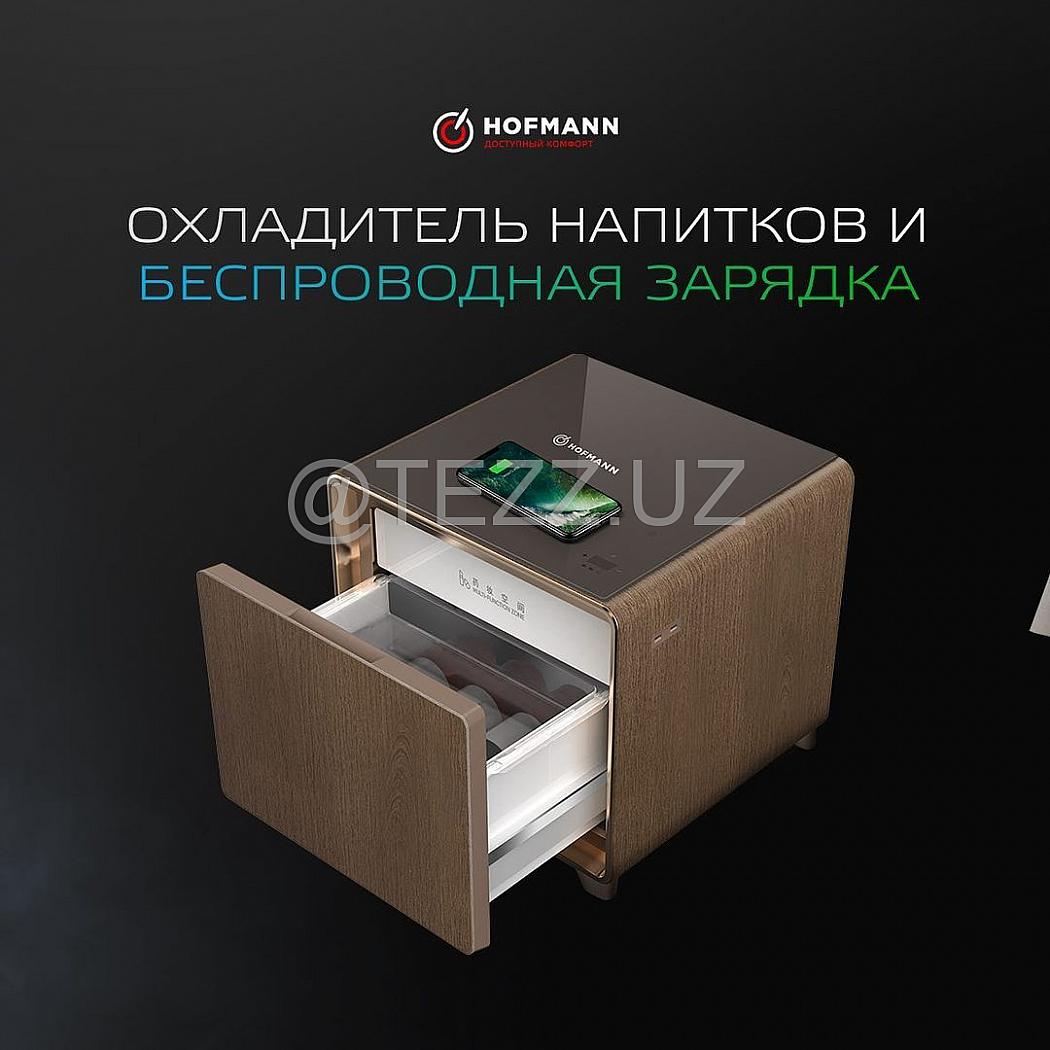 Холодильник Hofmann MR-30WD/HF