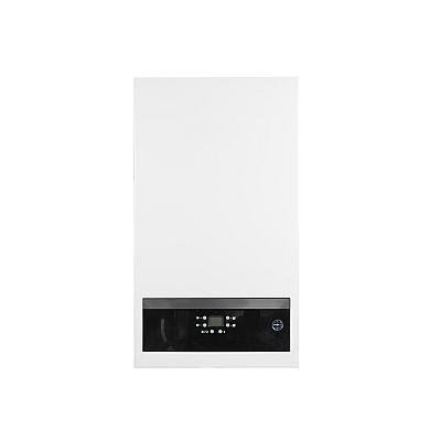 Газовые котлы  ROXTERM 25 двухконтурный