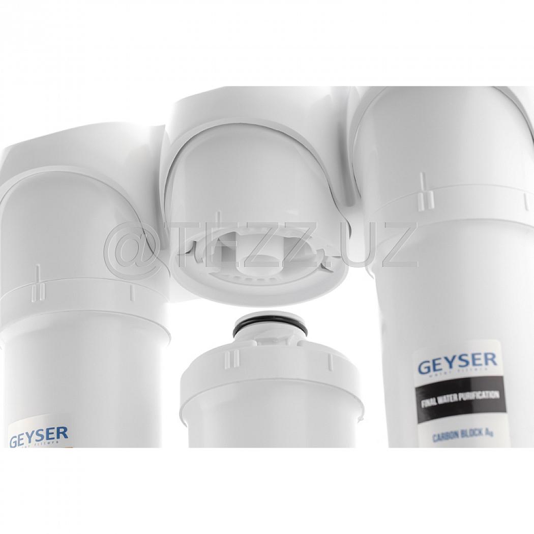 Фильтры для воды Гейзер Смарт Био 521, для жесткой воды (11056)